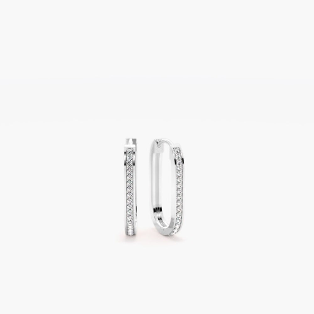 Round Cut Moissanite Classic Hoop Earring For Women