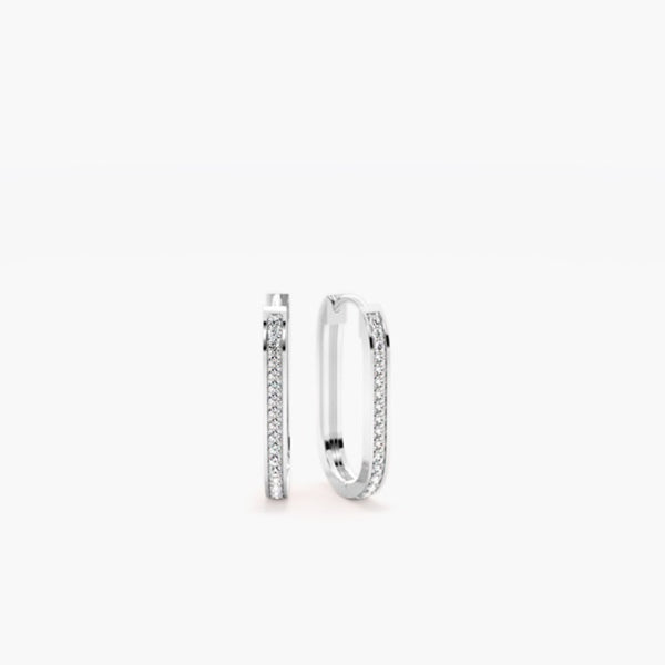 Round Cut Moissanite Classic Hoop Earring For Women