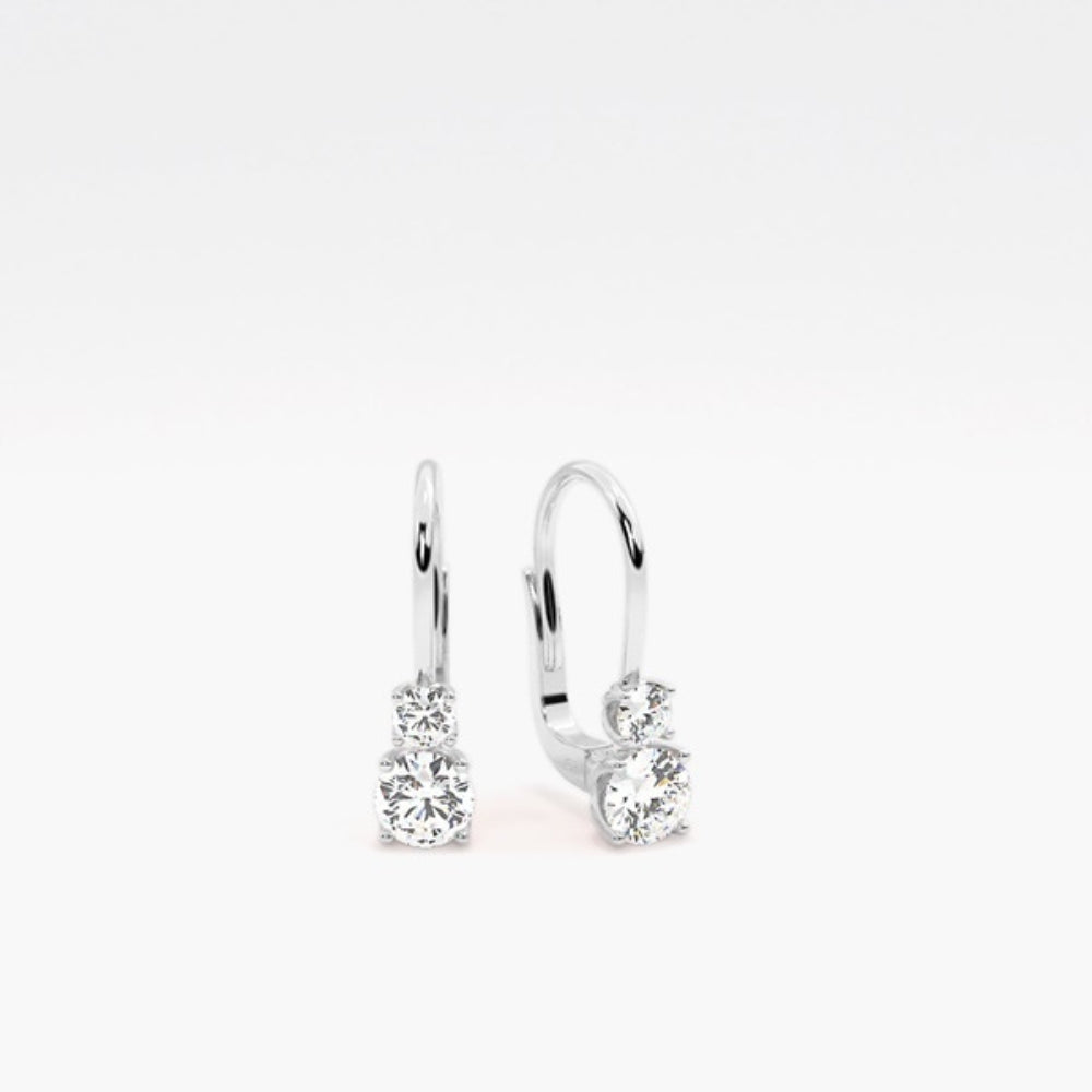 Round Cut VVS1 Moissanite Two Stone Hoop Earring