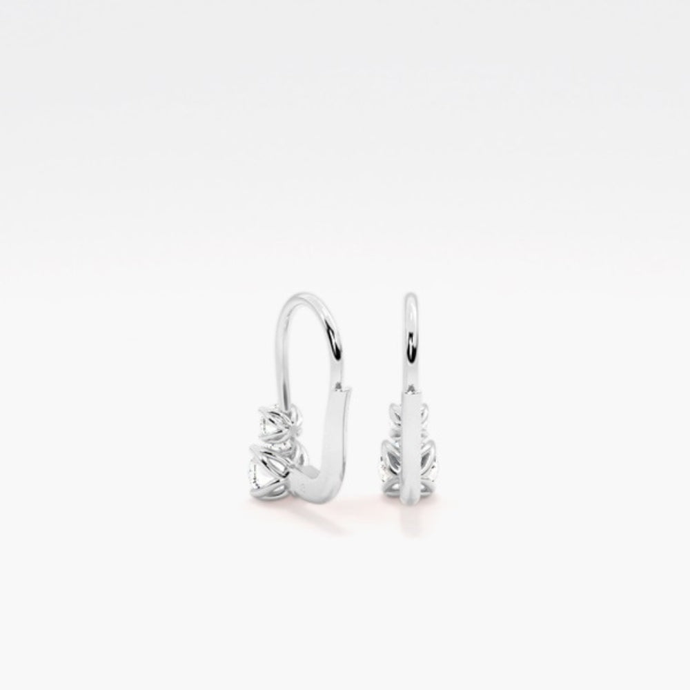 Round Cut VVS1 Moissanite Two Stone Hoop Earring