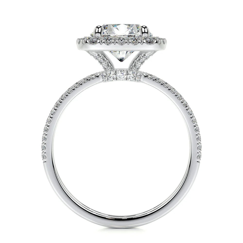 Brilliant Round Cut Halo Moissanite Ring Set