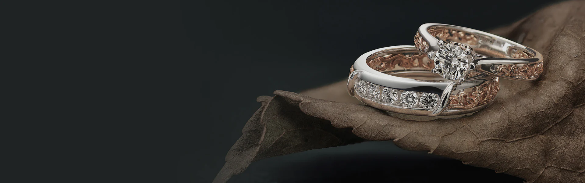 Latest Gifting Ideas