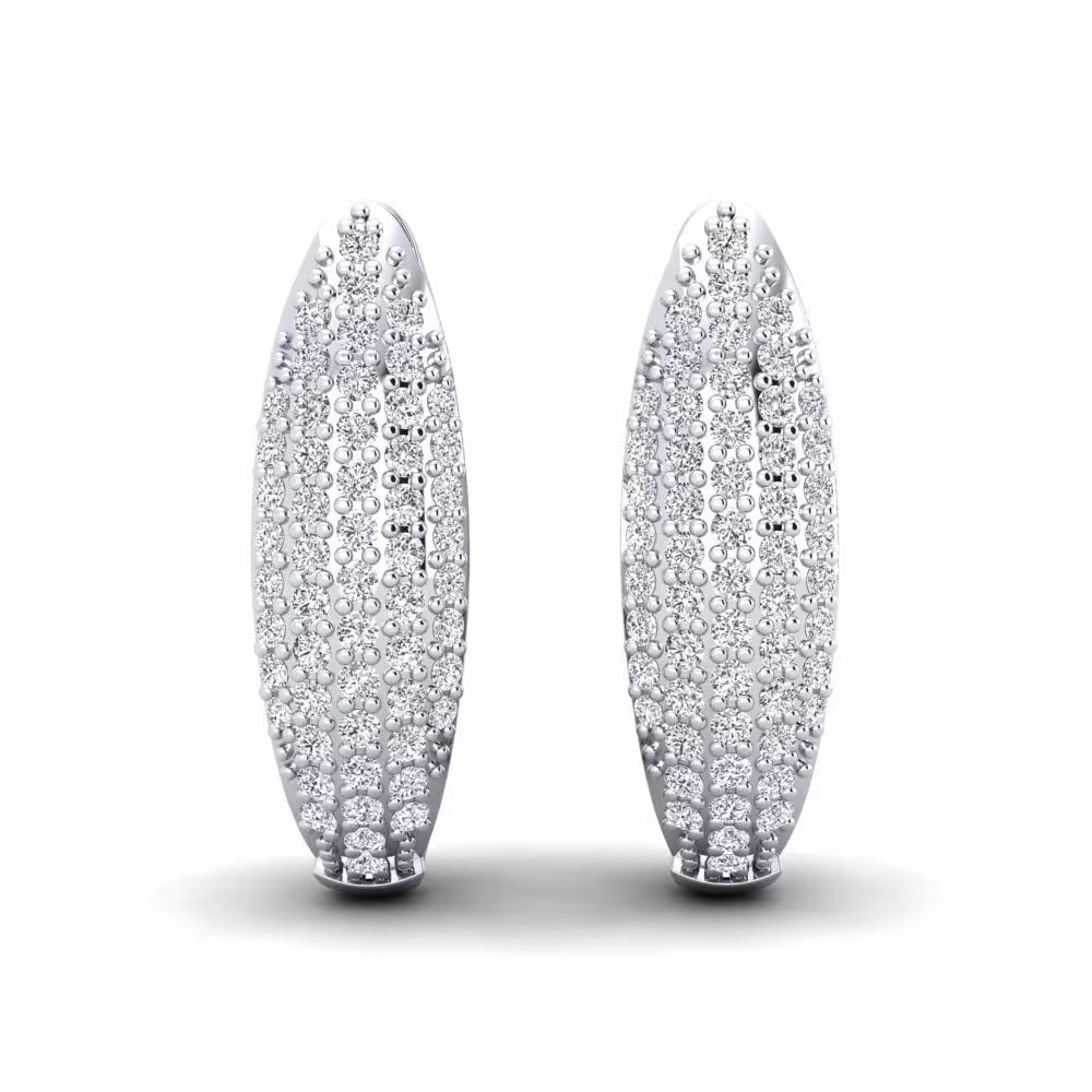 Round Cut Moissanite Classic Hoop Earrings