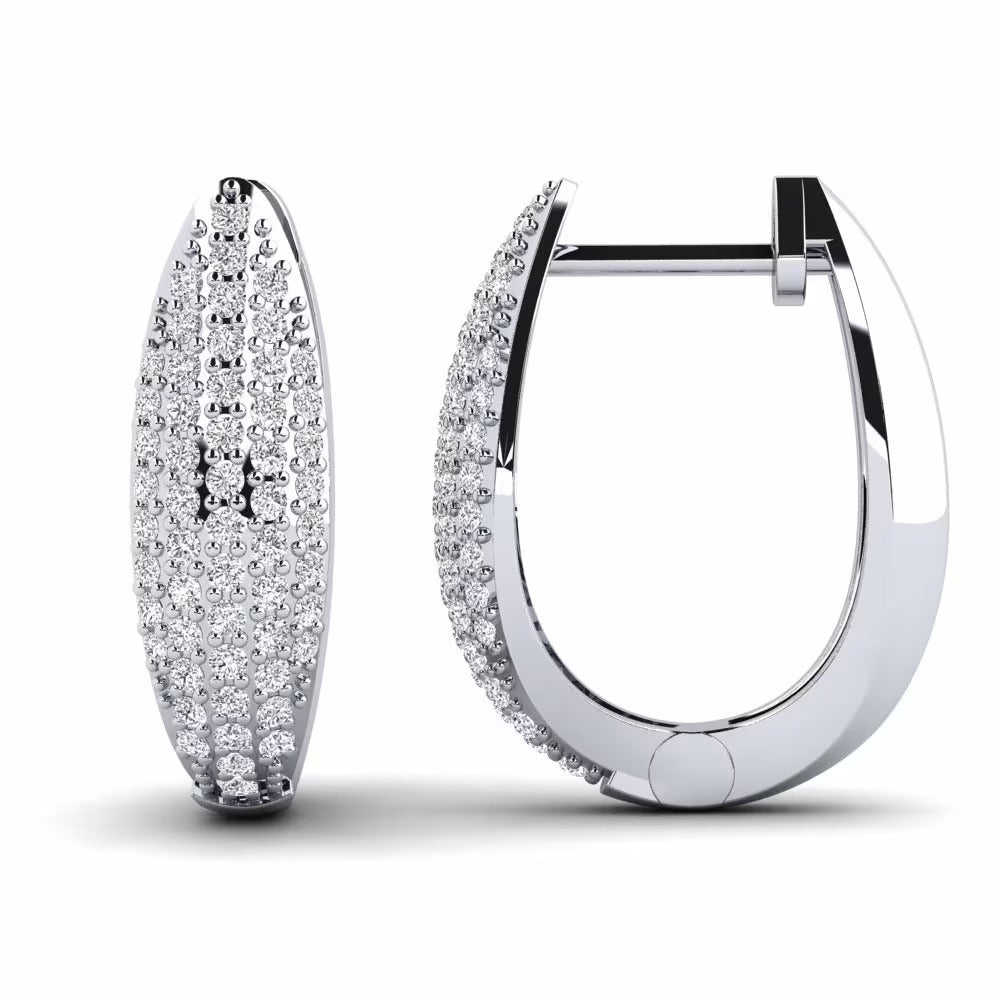 Round Cut Moissanite Classic Hoop Earrings