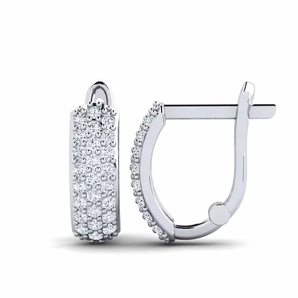 Round Cut VVS1 Moissanite Hoop Earrings For Women's